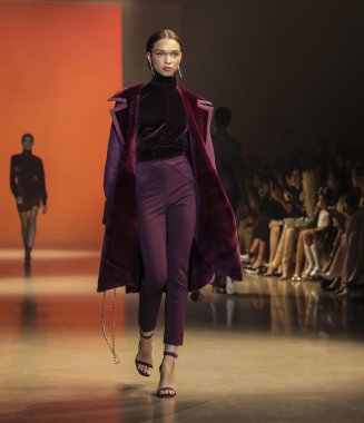 New York, Ny, Amerika Birleşik Devletleri - 8 Şubat 2019: Bir model yürür pist Cushnie sonbahar/kış 2019 koleksiyonu bahar Studios, Manhattan, New York moda sırasında için