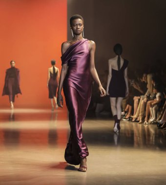 New York, Ny, Amerika Birleşik Devletleri - 8 Şubat 2019: Bir model yürür pist Cushnie sonbahar/kış 2019 koleksiyonu bahar Studios, Manhattan, New York moda sırasında için