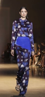 New York, Ny, Amerika Birleşik Devletleri - 8 Şubat 2019: Bir model yürür pist Cushnie sonbahar/kış 2019 koleksiyonu bahar Studios, Manhattan, New York moda sırasında için