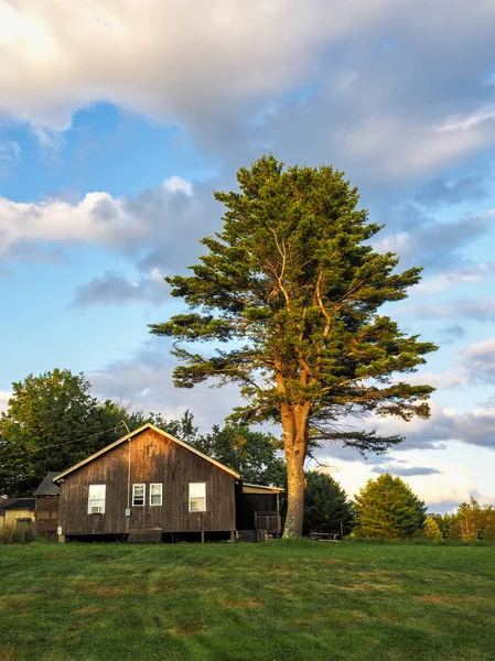 Dom i drzewa — Zdjęcie stockowe