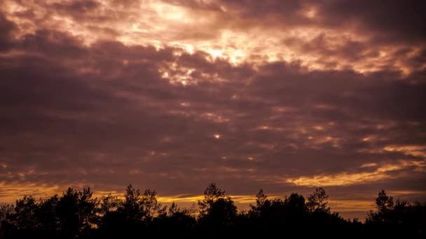 すぐに浮かぶ暗い雲曇りミステリーと夕日 — ストック動画
