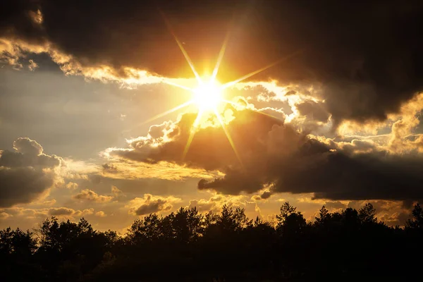 森の上に暗い雲が立ちく沈む夕日 — ストック写真