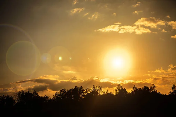 Zonsondergang Met Donkere Wolken Boven Bos Zomer — Stockfoto