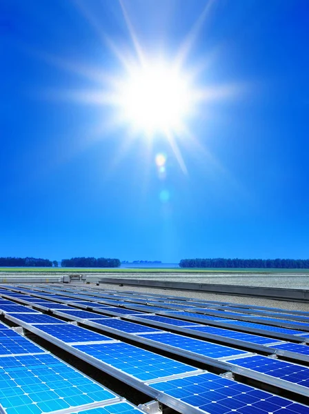 Array Celle Solari Nel Campo Energia Rinnovabile — Foto Stock