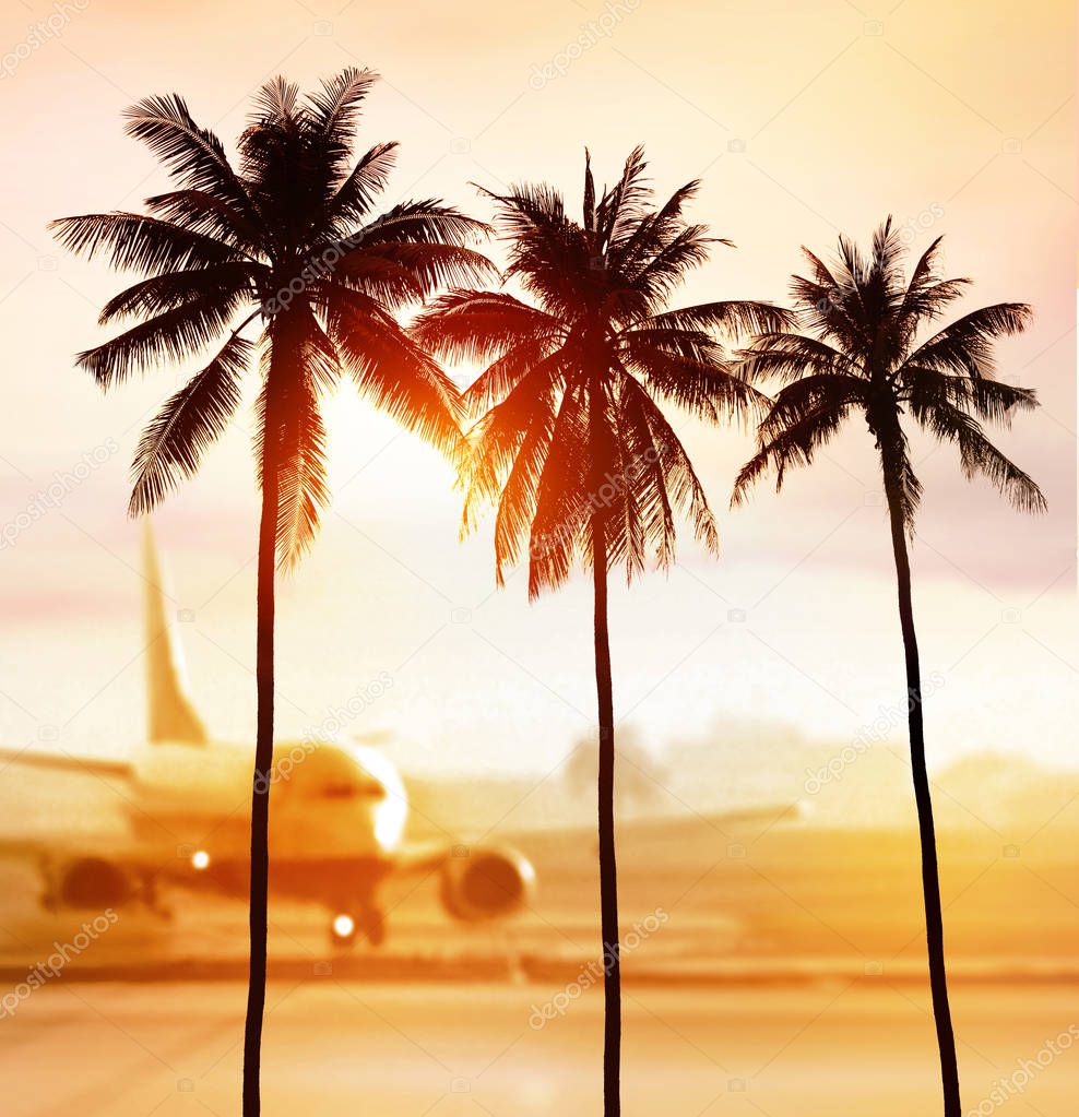 silhouette of palm trees near airport in light at sunset 