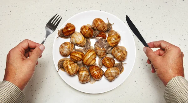 Seafood on white plate for cooking — Stock Photo, Image