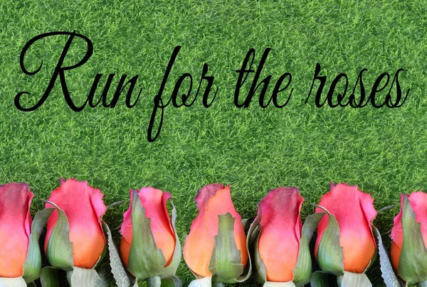 Kırmızı ipek gül ve safkan yarış çalıştırmak için suni yeşil çim Kentucky Derby aradı. Eklenen metin.