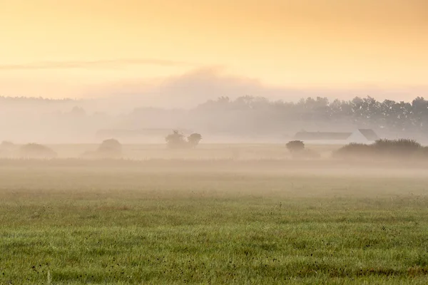Туман Пейзаже Утренний Туман Восходе Солнца — стоковое фото