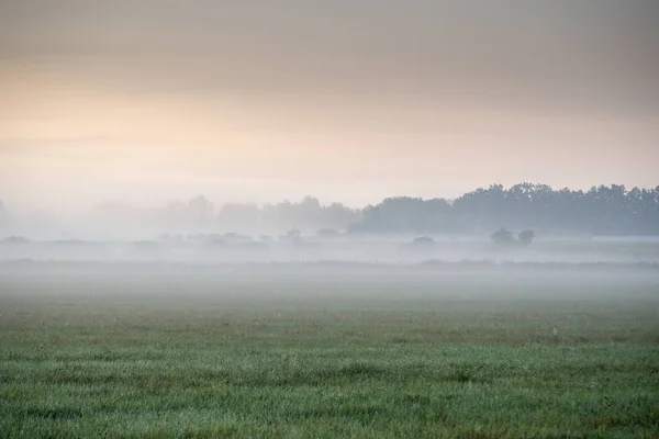 Mgła Krajobraz Rano Zamglenia Przez Sunrise — Zdjęcie stockowe