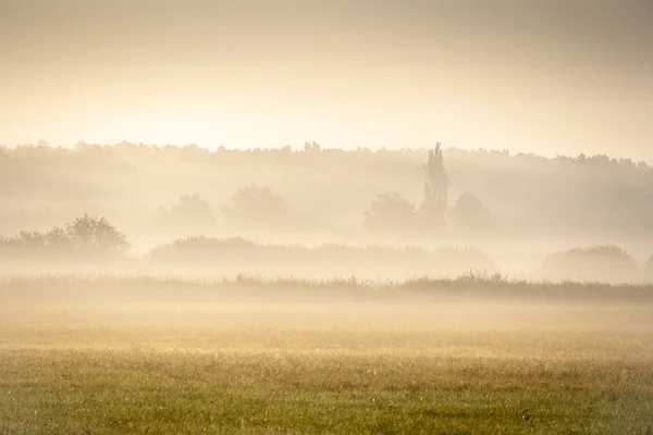 Nevoeiro Paisagem Neblina Matinal Nascer Sol — Fotografia de Stock