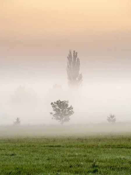 Mist Het Landschap Ochtend Nevel Door Zonsopgang — Stockfoto