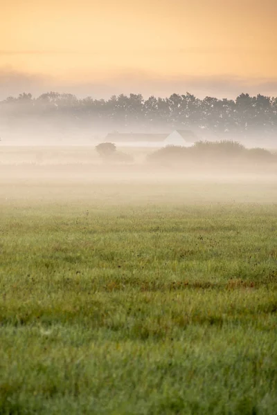Fog Landscape Morning Haze Sunrise — Stock Photo, Image