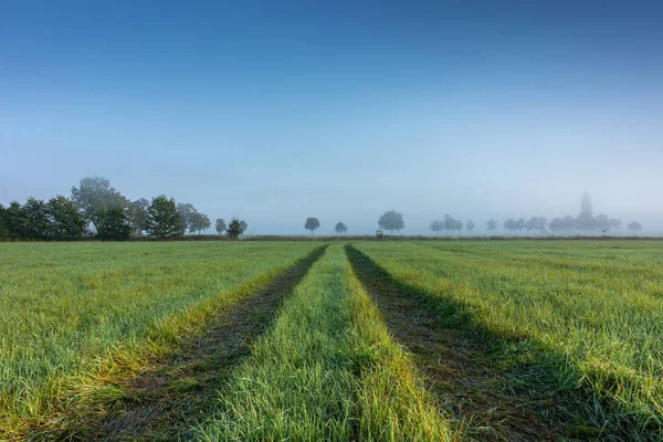 Nevoeiro Paisagem Neblina Matinal Nascer Sol — Fotografia de Stock