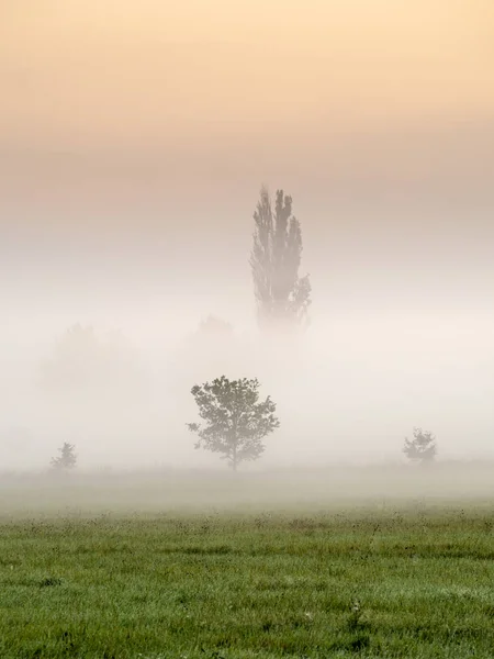 Mist Het Landschap Ochtend Nevel Door Zonsopgang Stockfoto