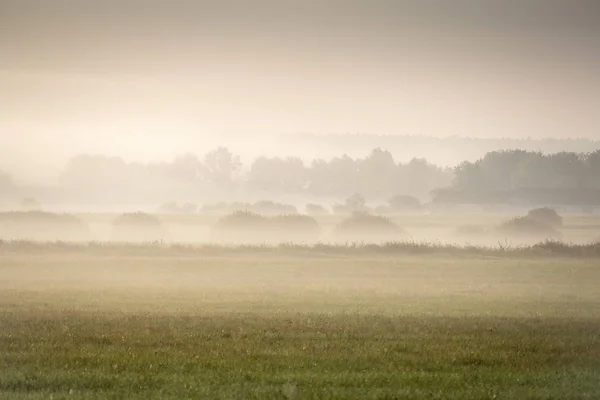 Mist Het Landschap Ochtend Nevel Door Zonsopgang Rechtenvrije Stockafbeeldingen