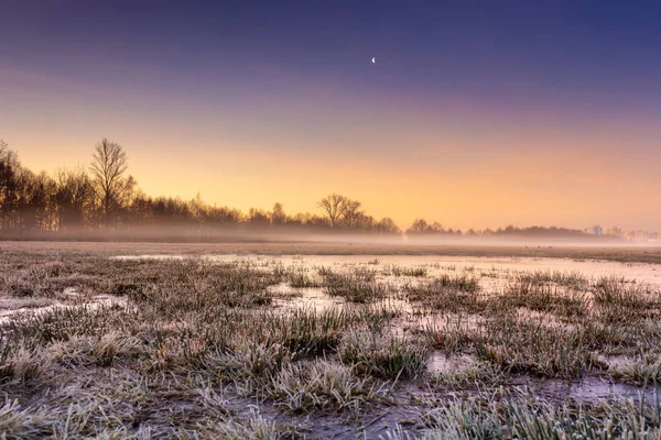 Холодное болото — стоковое фото