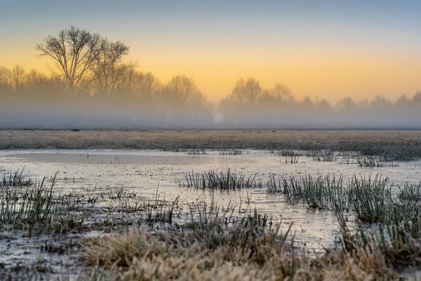 Холодної болото — стокове фото