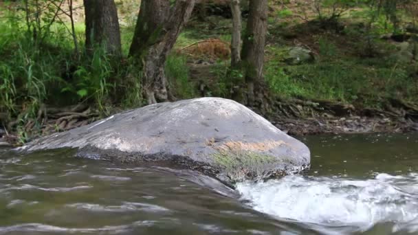 Boulder Dans Flux Eau — Video