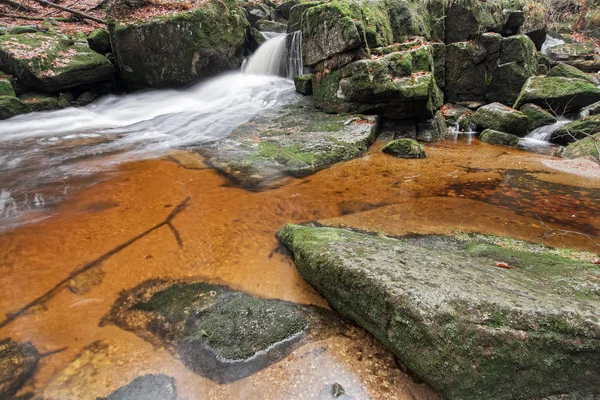 森林小川の岩を流れる水 — ストック写真