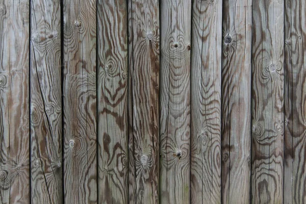 Palisade - fence from wooden stakes - wooden texture