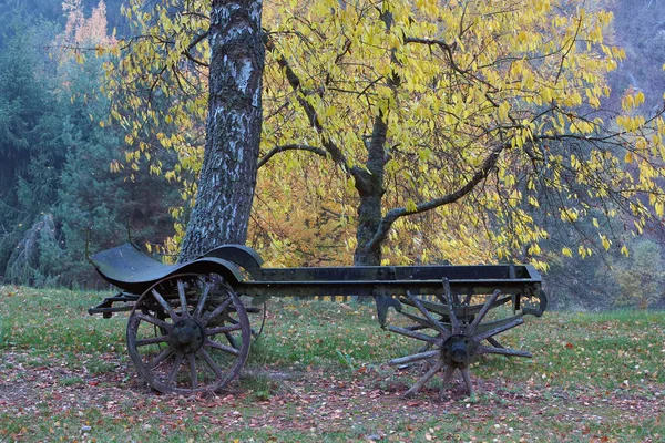 Conceptuele Afbeelding Van Oude Boerderij Vervoer Onder Een Herfst Bomen — Stockfoto