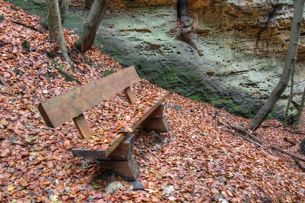 Image Bench Covered Fallen Leaves — Stock Photo, Image