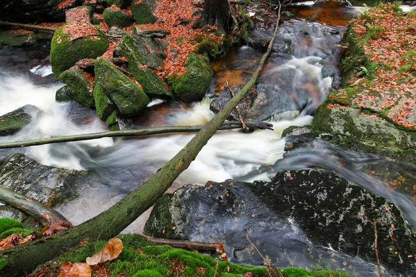 Potok Podzimním Lese Jedlová Creek Jizerské Hory Česká Republika — Stock fotografie