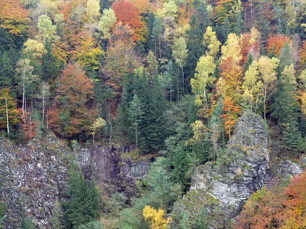 Kayalar Ormandaki Sonbahar Bohem Sviçre Çek Cumhuriyeti — Stok fotoğraf