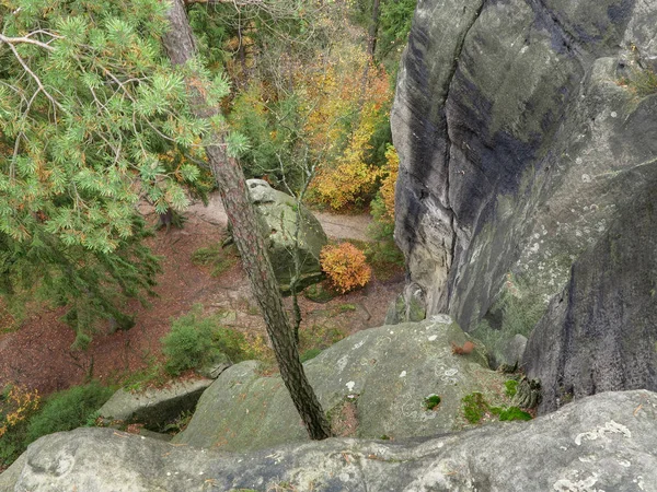 Resterna Slottet Rock Schauenstein Från Århundrade Böhmiska Schweiz Tjeckien — Stockfoto