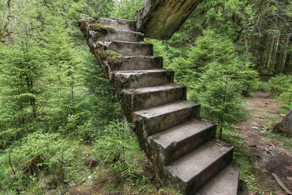 Verlaten Ruïnes Van Betonnen Trap Het Bos — Stockfoto