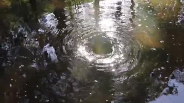 渦巻き 水の攪拌 — ストック動画