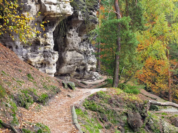 Hiking Trail Ormandaki Sonbahar Bohem Sviçre Çek Cumhuriyeti — Stok fotoğraf