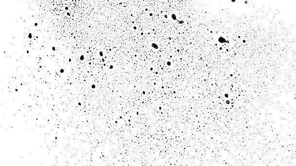 黑色水滴溅在白色表面 — 图库视频影像