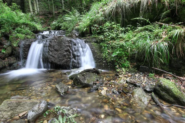 Nyznerov Vodopády Siver Potok Česká Republika — Stock fotografie