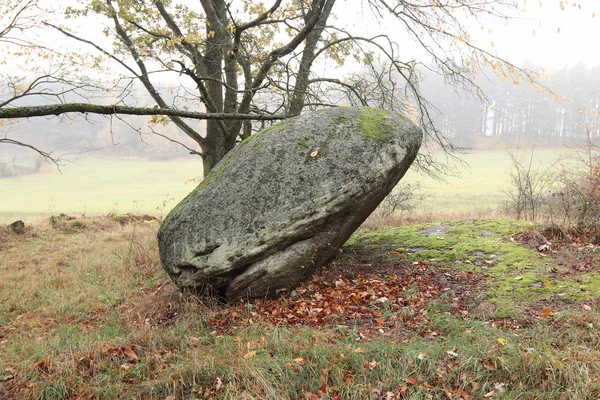 Kiegyensúlyozott Boulder Érdekes Rock Formáció Radvanov Village Cseh Köztársaság — Stock Fotó