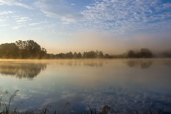 Early summer morning at the pond — Stock Photo, Image