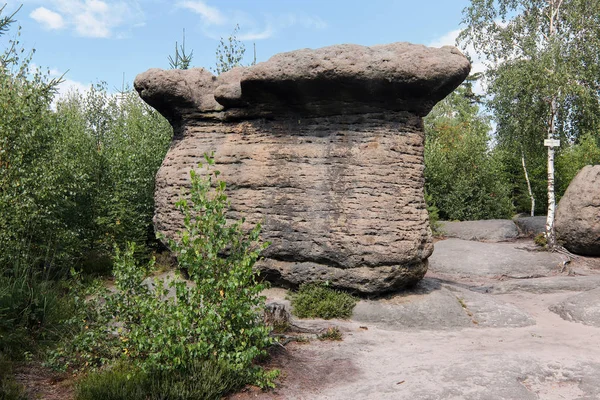 Stone mushrooms - bizarre rock formations, Broumov Walls — Stock Photo, Image