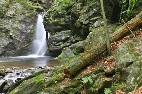 Cascata sul ruscello d'argento, Repubblica Ceca — Foto Stock