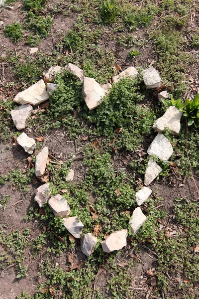 Herzform aus Steinen — Stockfoto