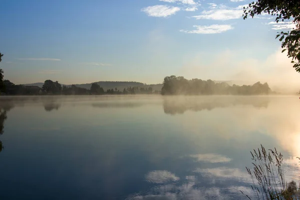 Časné léto ráno u jezera — Stock fotografie