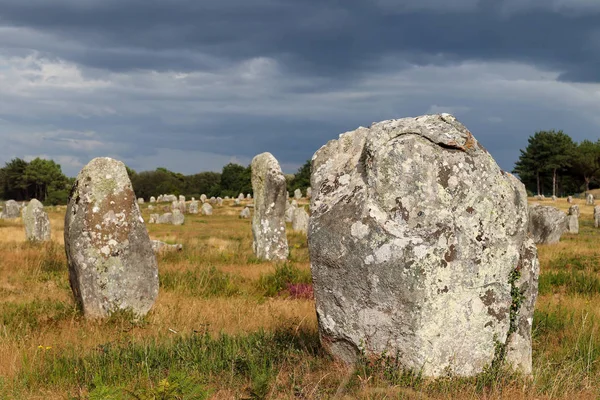Alignements du Menec - rows of Menhirs in the light of the setting sun — Stock Photo, Image