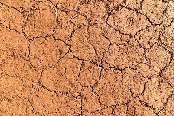 Textura de tierra seca — Foto de Stock