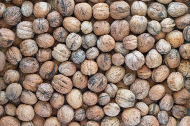 Ceviz - sonbahar meyve