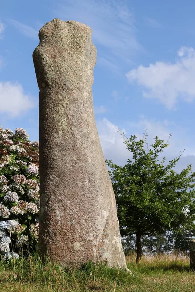 Menhir Saint Samson Pleumeur Bodou Bretagne Frankrike — Stockfoto