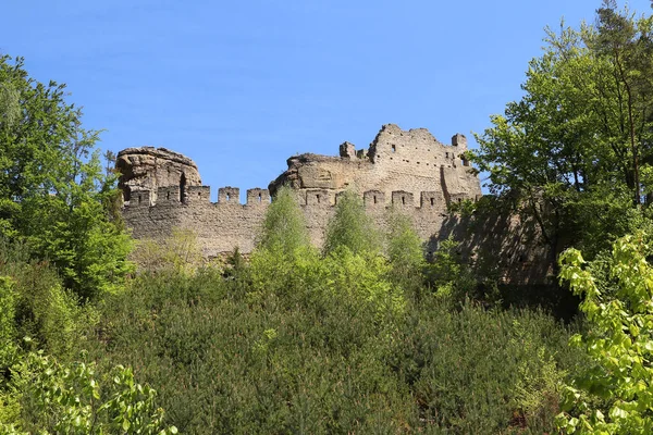 Helfenburk Burgruine Aus Dem Jahrhundert Tschechien — Stockfoto