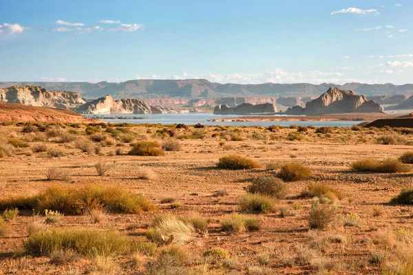 Les Caractéristiques Géologiques Végétation Long Des Bords Grand Canyon — Photo