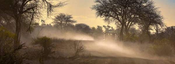 Safari Vehicles Road Dusk Kruger National Park Vehicles Leave Trail — Stock Photo, Image