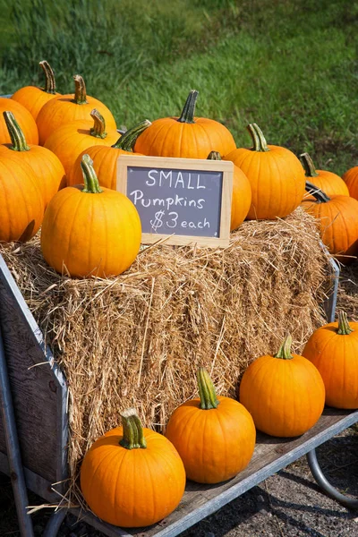 Pumpkins Sale Roadside Displayed Hay Bales Wooden Cart — Stock Photo, Image