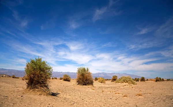 Devil Cornfiled Death Valley California Usa — Stock Photo, Image