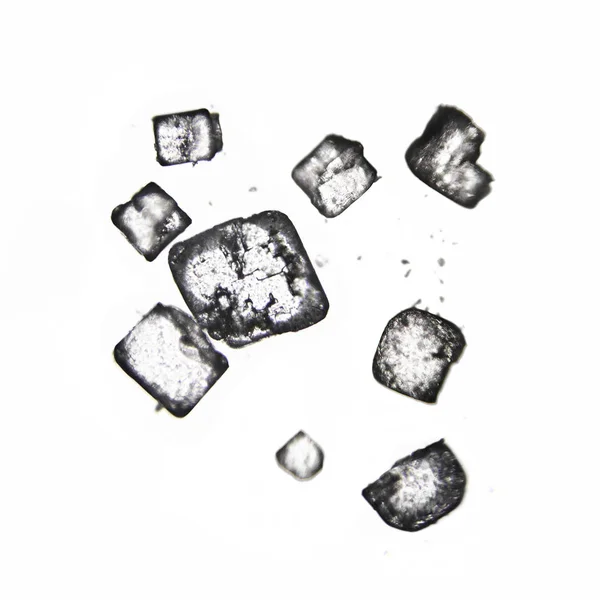 用光场显微镜观察白色颗粒糖的晶体 — 图库照片